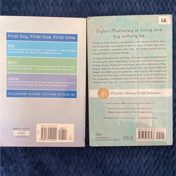 Young Adult Books Summer Boys by Hailey Abbott and Faking Faith by Josie Bloss - Picture 2 of 5